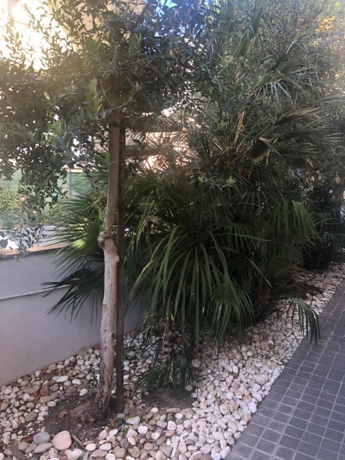 Apartamento A Casa Minerva Rímini Exterior foto