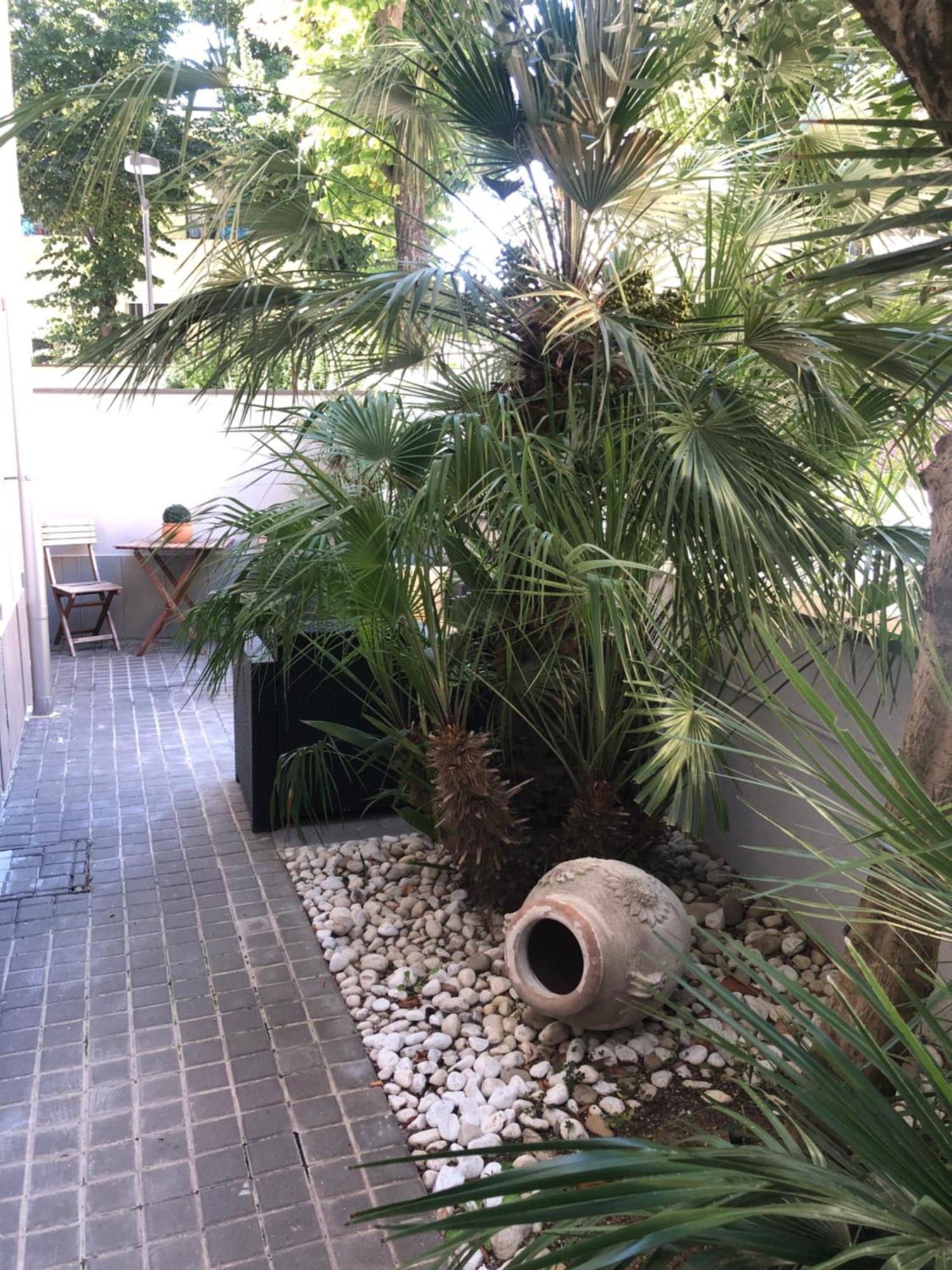 Apartamento A Casa Minerva Rímini Exterior foto